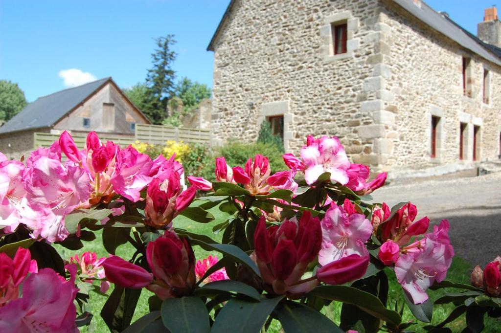 Maison d'hôtes&Gîtes Domaine de la Garaye Dinan Exterior foto